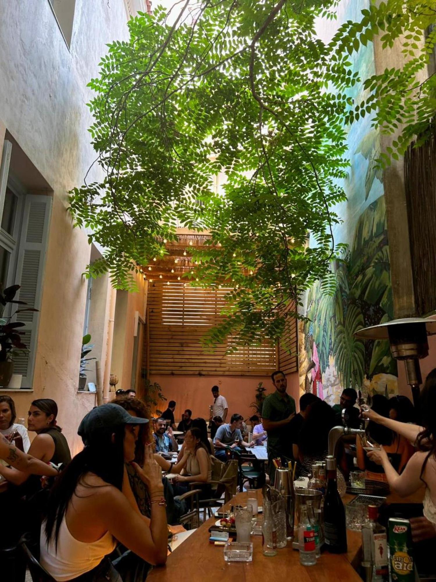 Baloo Athens